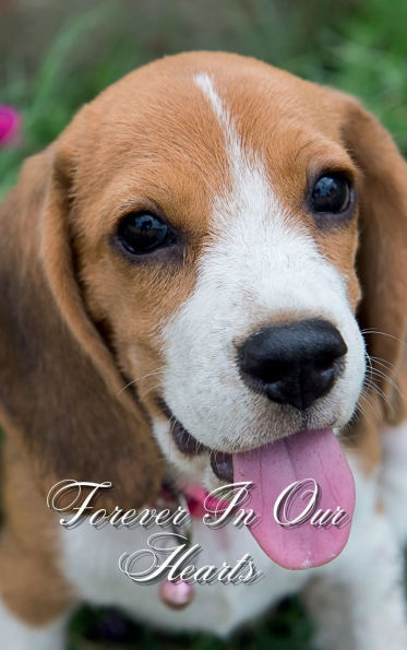 Forever In Our Hearts Beagle Dog: Memorial Funeral Book of Remembrance, Condolence, Guest Messages