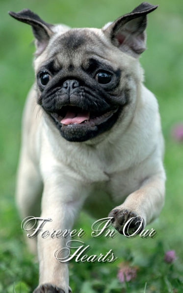 Forever In Our Hearts Pug Dog: Memorial Funeral Book of Remembrance, Condolence, Guest Messages