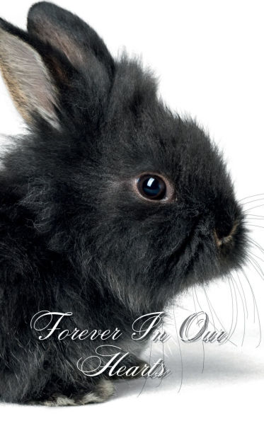Forever In Our Hearts Baby Black Rabbit: Memorial Funeral Book of Remembrance, Condolence, Guest Messages