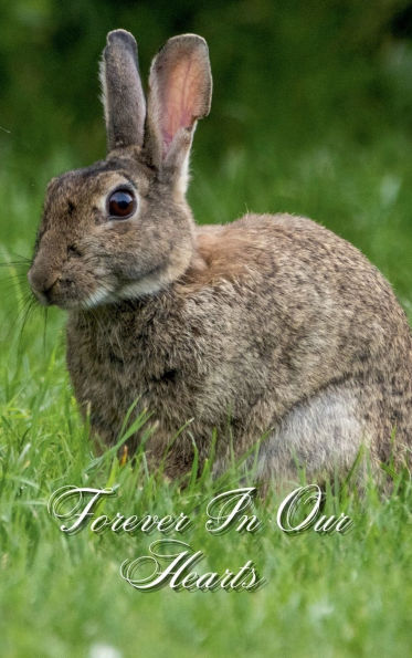 Forever In Our Hearts Grey Rabbit: Memorial Funeral Book of Remembrance, Condolence, Guest Messages