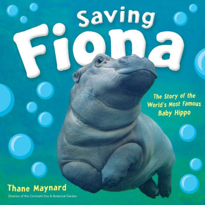 fiona stuffed hippo