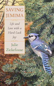 Title: Saving Jemima: Life and Love with a Hard-Luck Jay, Author: Julie Zickefoose