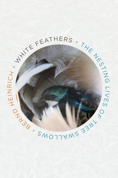 White Feathers: The Nesting Lives of Tree Swallows