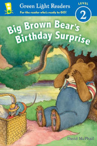Title: Big Brown Bear's Birthday Surprise, Author: David McPhail