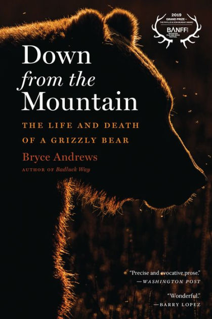 Down From The Mountain: The Life and Death of a Grizzly Bear by Bryce ...