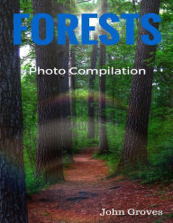 Title: Forests Photo Compilation, Author: John Groves