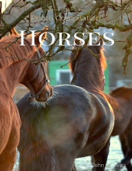Title: Horses Photo Compilation, Author: John Groves