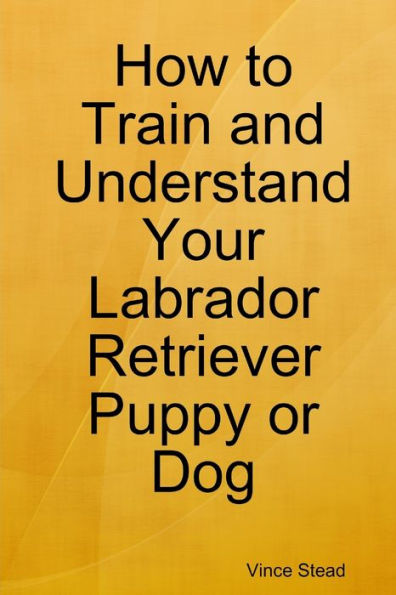 How to Train and Understand Your Labrador Retriever Puppy or Dog