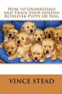 How to Understand and Train Your Golden Retriever Puppy or Dog