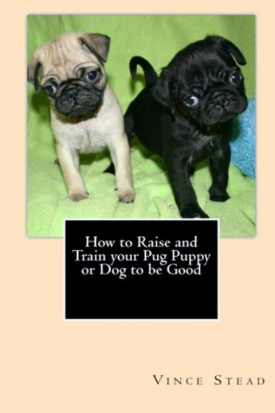 How to Raise and Train your Pug Puppy or Dog be Good