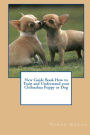 New Guide Book How to Train and Understand your Chihuahua Puppy or Dog