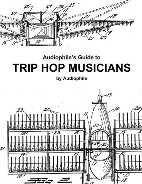 Audiophile's Guide to Trip Hop Musicians