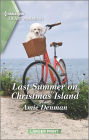 Last Summer on Christmas Island: A Clean and Uplifting Romance