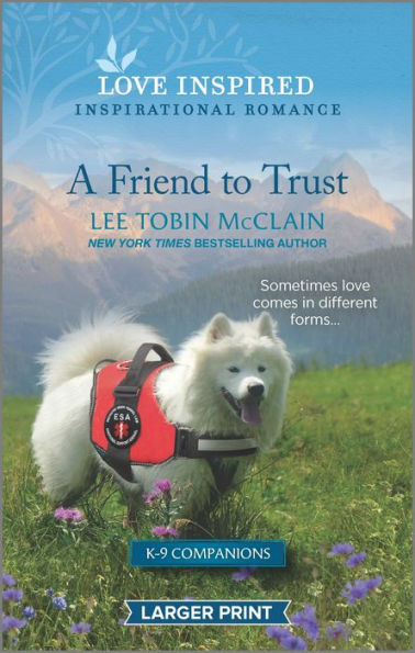 A Friend to Trust: An Uplifting Inspirational Romance