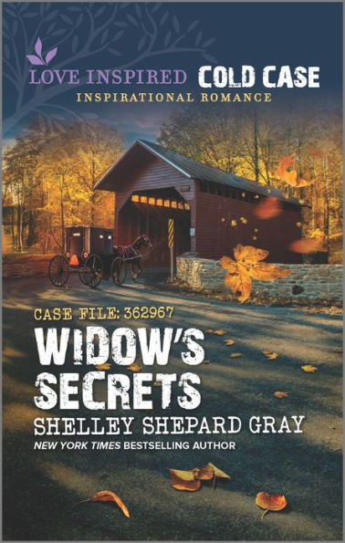 Widow's Secrets: A Christian Mystery