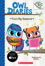 Eva's Big Sleepover (Owl Diaries Series #9)