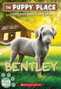 Bentley (The Puppy Place Series #53)