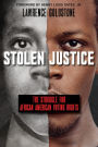 Stolen Justice: The Struggle for African American Voting Rights