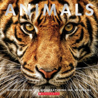 Title: Animals: Witness Life in the Wild Featuring 100s of Species, Author: Scholastic