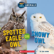 Title: Spotted Eagle-Owl or Snowy Owl (Wild World: Hot and Cold Animals), Author: Eric Geron