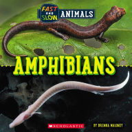 Title: Amphibians (Wild World: Fast and Slow Animals), Author: Brenna Maloney