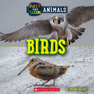 Title: Birds (Wild World: Fast and Slow Animals), Author: Brenna Maloney