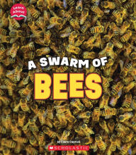 Title: A Swarm of Bees (Learn About: Animals), Author: Claire Caprioli