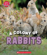 Title: A Colony of Rabbits (Learn About: Animals), Author: Danielle Denega