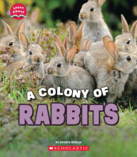 Title: A Colony of Rabbits (Learn About: Animals), Author: Danielle Denega