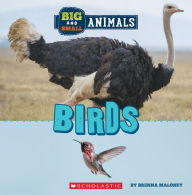 Title: Birds (Wild World: Big and Small Animals), Author: Brenna Maloney