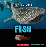 Title: Fish (Wild World: Big and Small Animals), Author: Brenna Maloney