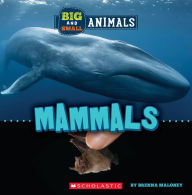 Title: Mammals (Wild World: Big and Small Animals), Author: Brenna Maloney