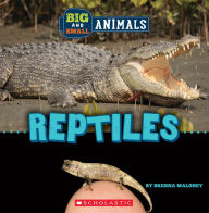 Title: Reptiles (Wild World: Big and Small Animals), Author: Brenna Maloney