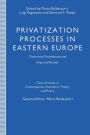 Privatization Processes in Eastern Europe: Theoretical Foundations and Empirical Results