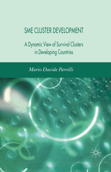 SME Cluster Development: A Dynamic View of Survival Clusters in Developing Countries