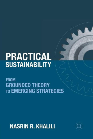 Practical Sustainability: From Grounded Theory to Emerging Strategies