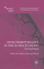Development Finance in the Global Economy: The Road Ahead