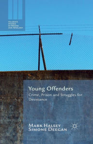 Title: Young Offenders: Crime, Prison and Struggles for Desistance, Author: M. Halsey