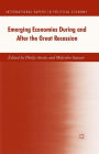 Emerging Economies During and After the Great Recession