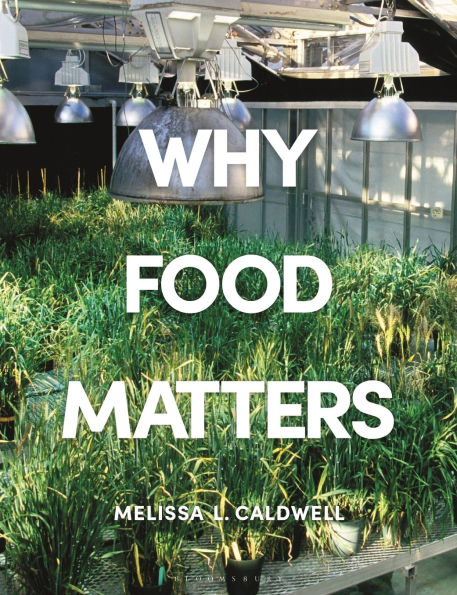 Why Food Matters: Critical Debates Studies