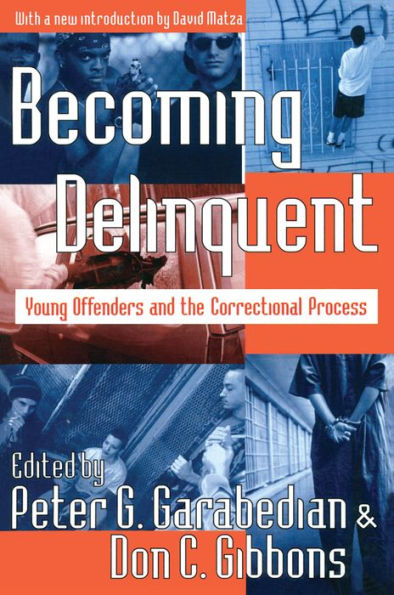 Becoming Delinquent: Young Offenders and the Correctional Process