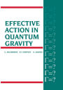 Effective Action in Quantum Gravity