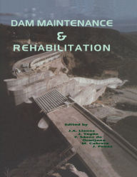 Title: Dam Maintenance and Rehabilitation: Proceedings of the International Congress on Conservation and Rehabilitation of Dams, Madrid, 11-13 November 2002, Author: M. Cabrera