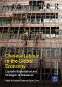 Chinese Labour in the Global Economy: Capitalist Exploitation and Strategies of Resistance