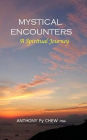 Mystical Encounters: A Spiritual Journey