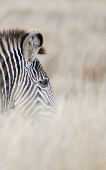 Alive! zebra stripes - Natural - Photo Art Notebooks (5 x 8 series): by Photographer Eva-Lotta Jansson