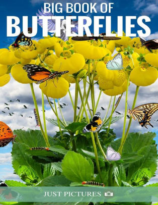 Big Book Of Butterfliesnook Book - 