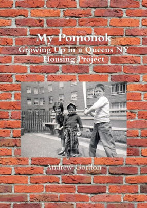 My Pomonok Growing Up In A Queens Ny Housing Project By Andrew