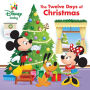 Disney Baby: The Twelve Days of Christmas