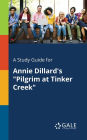 A Study Guide for Annie Dillard's Pilgrim at Tinker Creek